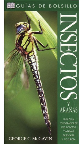 Insectos Y Arañas. Guía De Bolsillo (libro Original)