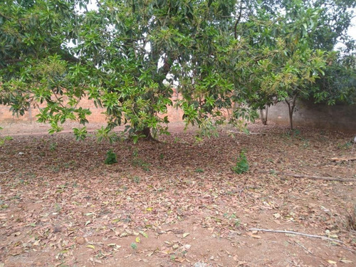 Chácara À Venda, 2000 M² Por R$ 380.000,00 - Recreio Uirapuru - Cosmópolis/sp - Ch0506