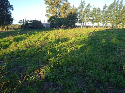 Chacra En Juanicó Con Casa Para 80.000 U$s