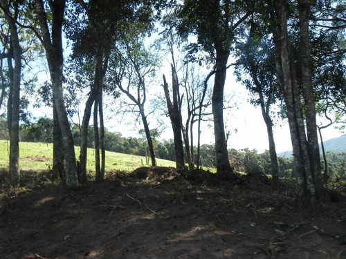 (sc) Condomínio Bem Localizado, Com Lago E Portaria