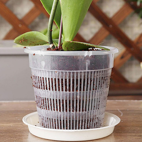 Maceta Grande Phalaenopsis Root Control, 6 Unidades