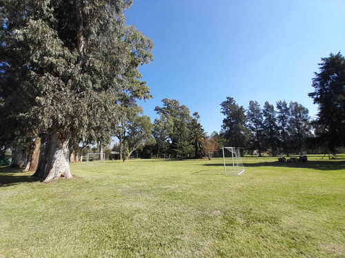 Imagen 3 de 13 de Venta Lote Terreno 3600m2