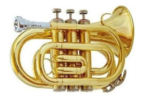 Trompeta Lincoln Pocket Con Estuche Bb Musica Pilar