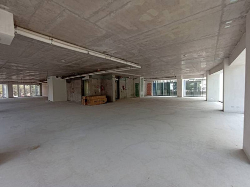 Local Comercial 1° Nivel Edificio Oficinas