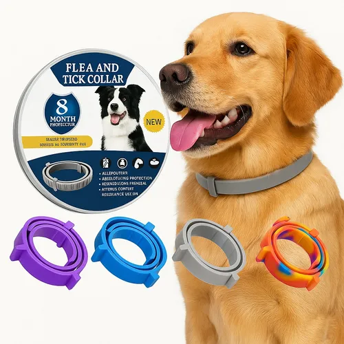 Cachorro golden retriever usando coleira antipulgas cinza, com embalagem e outras coleiras coloridas ao lado.
