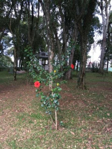 Imagem 12 de 30 de Excelente Terreno São Braz - Te-0448 - 3295582