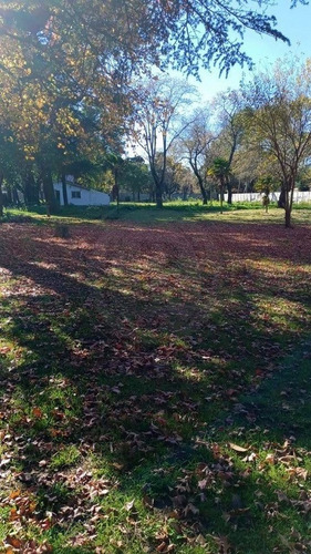 Imagen 4 de 8 de Bustamante Prop Gral Rodriguez Lotes Zona Exclusiva Quintas