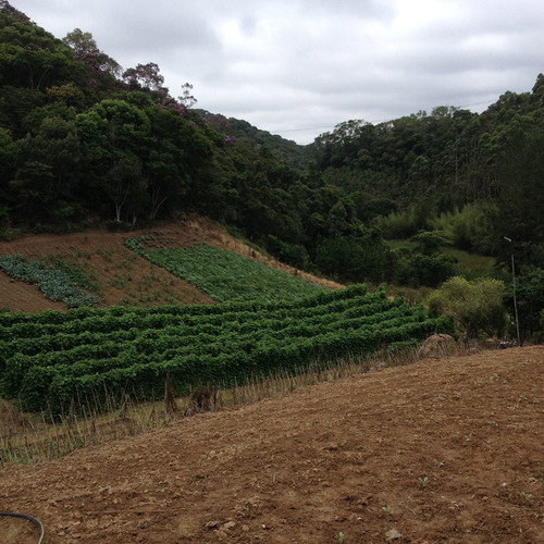 Imagem 14 de 29 de Vendo Terreno 260.000m² Ou 26,1ha Em Guapiara Sp Opções: Plantio, Criação De Gado, Turismo E Outros