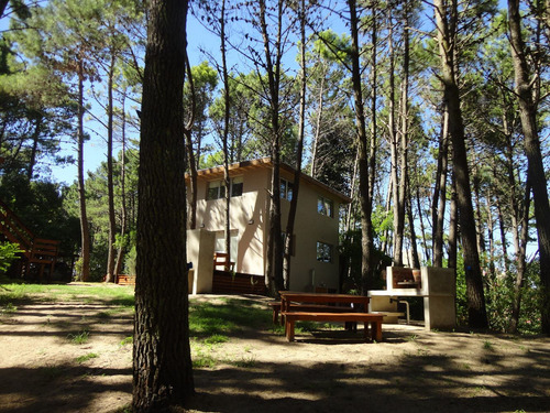 Imagen 11 de 13 de En El Bosque A 200m Del Mar, 300m Del Centro.