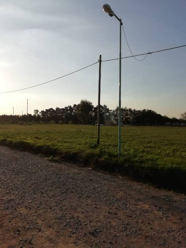 Imagen 14 de 30 de 147 Y 486 Lote En Venta, En Fincas Gorina.-