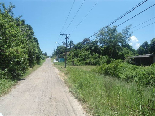 Imagem 1 de 2 de Terreno - Venda - Umurama - Itanhaem - Ita1478