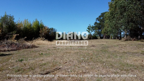Imagen 10 de 20 de Chacra Aguas Blancas - Sierras Oportunidad