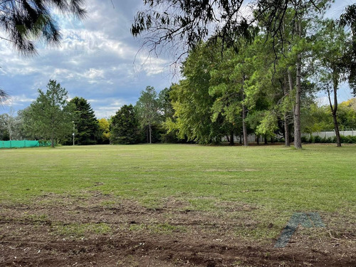 Imagen 2 de 7 de Terreno - Casuarinas Del Pilar