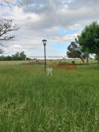 Imagen 16 de 30 de Venta De Campo De 21 Has Entre Jeppener Y Ranchos