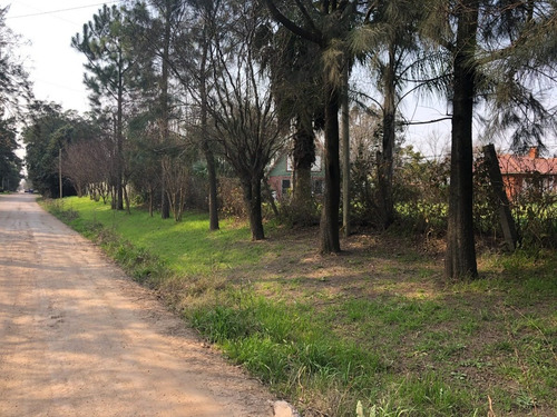 Imagen 4 de 11 de Amplio Lote En Barrio Parque, Excelente Entorno