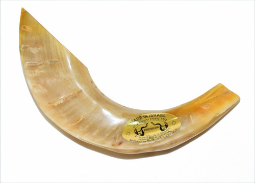 Imagem 2 de 6 de Shofar Chifre De Carneiro De Tocar - De Israel E1 25-29 Cm