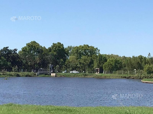 Imagen 2 de 5 de Lote En Venta En El Naudir - Maroto Propiedades