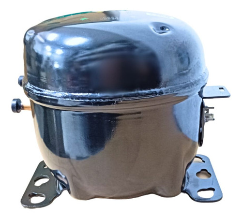 Compressor Tecumseh 1/3+ 110v Tcw413y-ds8e Congelado
