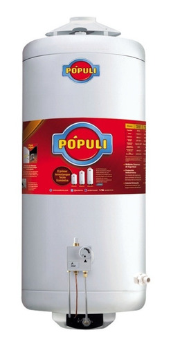 Termotanque A Gas Natural Ecotermo Populi C/sup. 70lts 