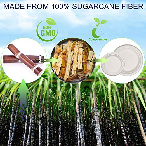 250pcs Compostable Paper Plates With Cutlery Set, Dispo...