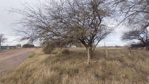 Terreno En Av. San Martín Y Alvear - Ataliva Roca