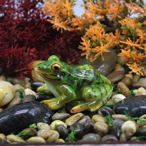 Estatua De Paisaje De Rana Sapo Sapos Anfibios Ranas