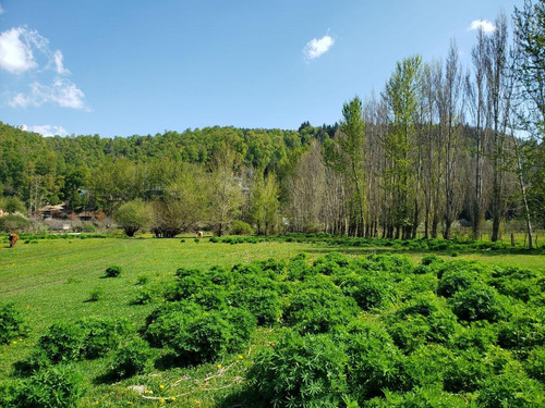 Imagen 6 de 12 de Venta Terrenos Callejón De Gins Gins - San Martin De Los Andes