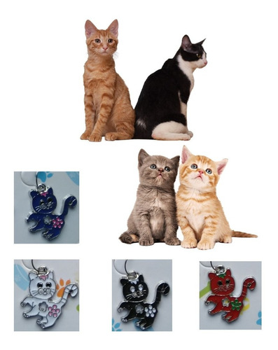 Placas Para Mascostas En Forma De Gatos X 24 Unidades