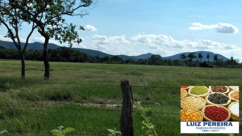 Fazenda À Venda Em Porto Murtinho - Ms - De 1.917 Hectares (pecuária) - 1635
