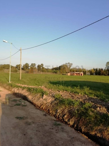 Imagen 22 de 30 de 147 Y 486 Lote En Venta, En Fincas Gorina.-