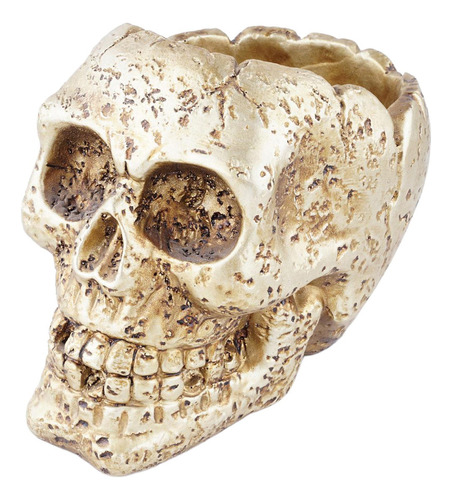 Gótico Retro Cráneo Humano Cabeza Maceta Cama Caja