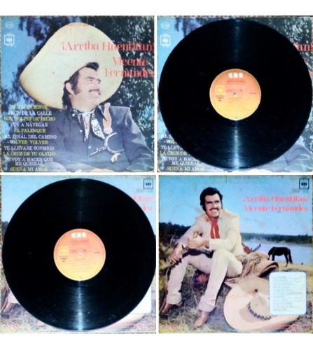 Discos Vicente Fernández Desde 1971 (Usado)