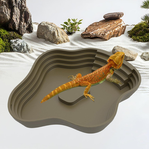Piscina De Baño De De Agua De Tortuga De Rampa Para Verde L