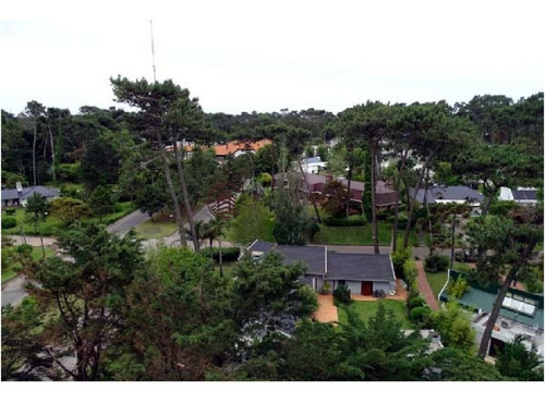 Imagen 12 de 30 de Lindisimo Edificio Ubicado A Pocas Cuadras Del Mar - Punta Del Este Roosevelt