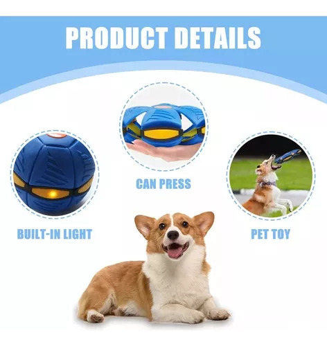 Ejercicio De Pelota Que Rebota Al Aire Libre Para Perros, Pi