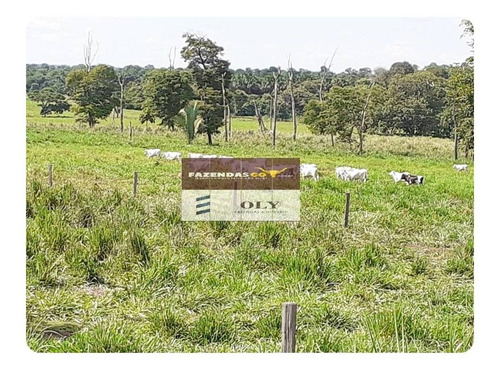 Imagem 4 de 11 de Fazenda Extra ! Região São Miguel Do Araguaia 75 Alqueires ! - 380