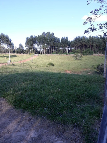Imagem 18 de 30 de Sítio 4,5 Alqueires Facil Acesso,agua Corrente E De Poço,casa Boa,bem Cercado,bem Cuidado - Ch00073 - 69447576