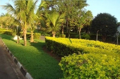 Imagem 5 de 7 de Terreno À Venda, Parque Xangrilá, Campinas, Sp (lote Para Quem Gosta De Natureza, Condomínio Todo Arborizado) - Sp - Te0005_cmsi