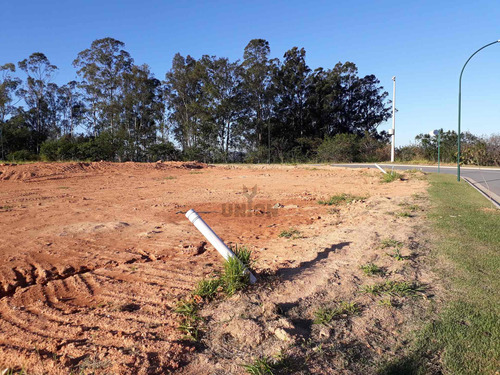 Imagem 5 de 8 de Ótimo Terreno À Venda No Condomínio Arboretum Na Cidade De Vinhedo Sp. - Te00185 - 70182907