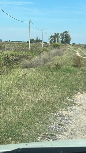 Campo En Estacion Diaz