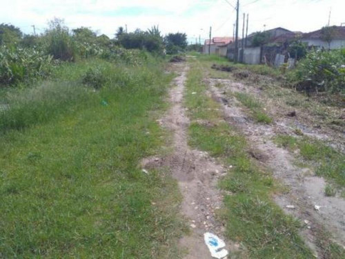 Ótimo Terreno De 286 Mts No Gaivota Em Itanhaém - 5157 | Npc
