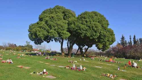 Se Vende Terreno Cementerio Parque Los Pensamientos 