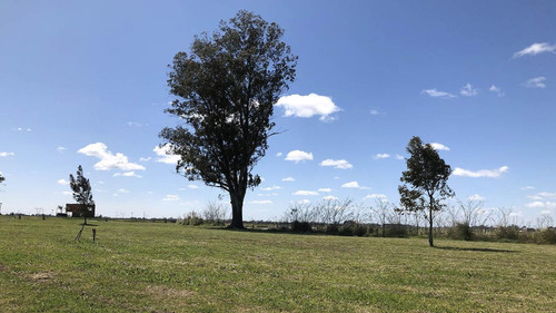 Venta Lote Laguna - Barrio Las Victorias