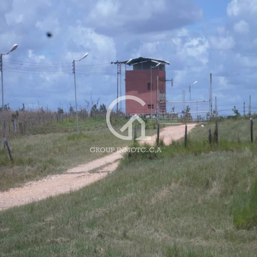 Imagen 1 de 5 de Group Inmotc Vende Finca En La Vía Upata/el Manteco