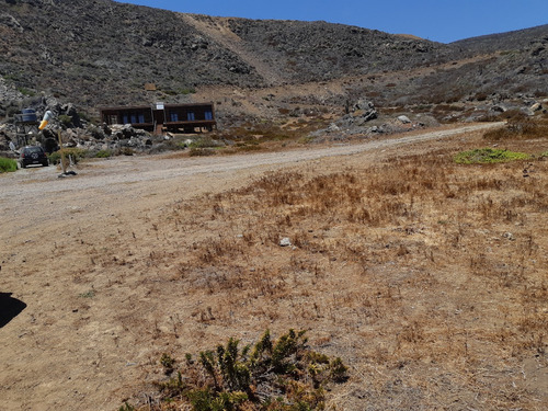 Parcela 53. Comuna Lo Ovalle.