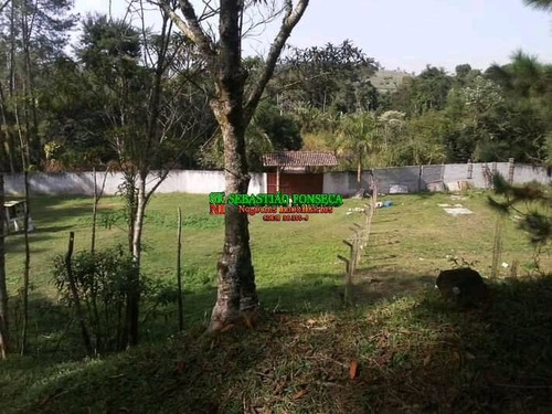Imagem 7 de 11 de Lindo Sítio 53.000 M² Em Jacareí - 1965