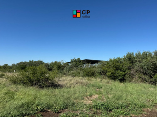 Galpón En Venta En Los Molles