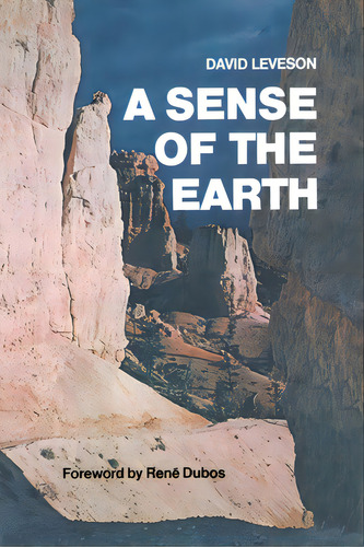 A Sense Of The Earth, De Leveson, David. Editorial Main Street, Tapa Blanda En Inglés