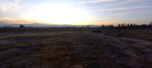 Imagen 6 de 8 de Venta Lote El Carrascal Maipu - Mendoza