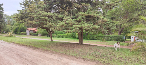 Imagen 8 de 13 de Lote B° Copacabana Con Escritura Sobre Av Suipacha De 400 Mts2
